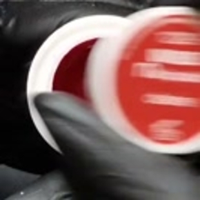 nail polish desire
